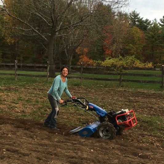 The Roots of Cross Street Flower Farm