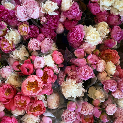 CSA Ranunculus + Peony Flower Share