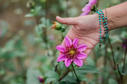 Dad's Favorite Dahlia Tuber