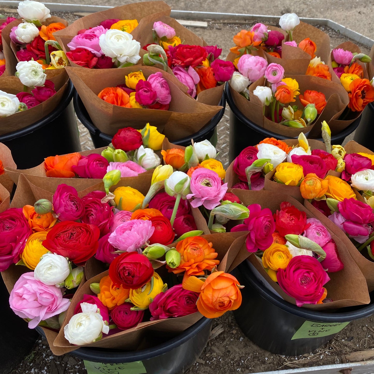 CSA Ranunculus + Peony Flower Share