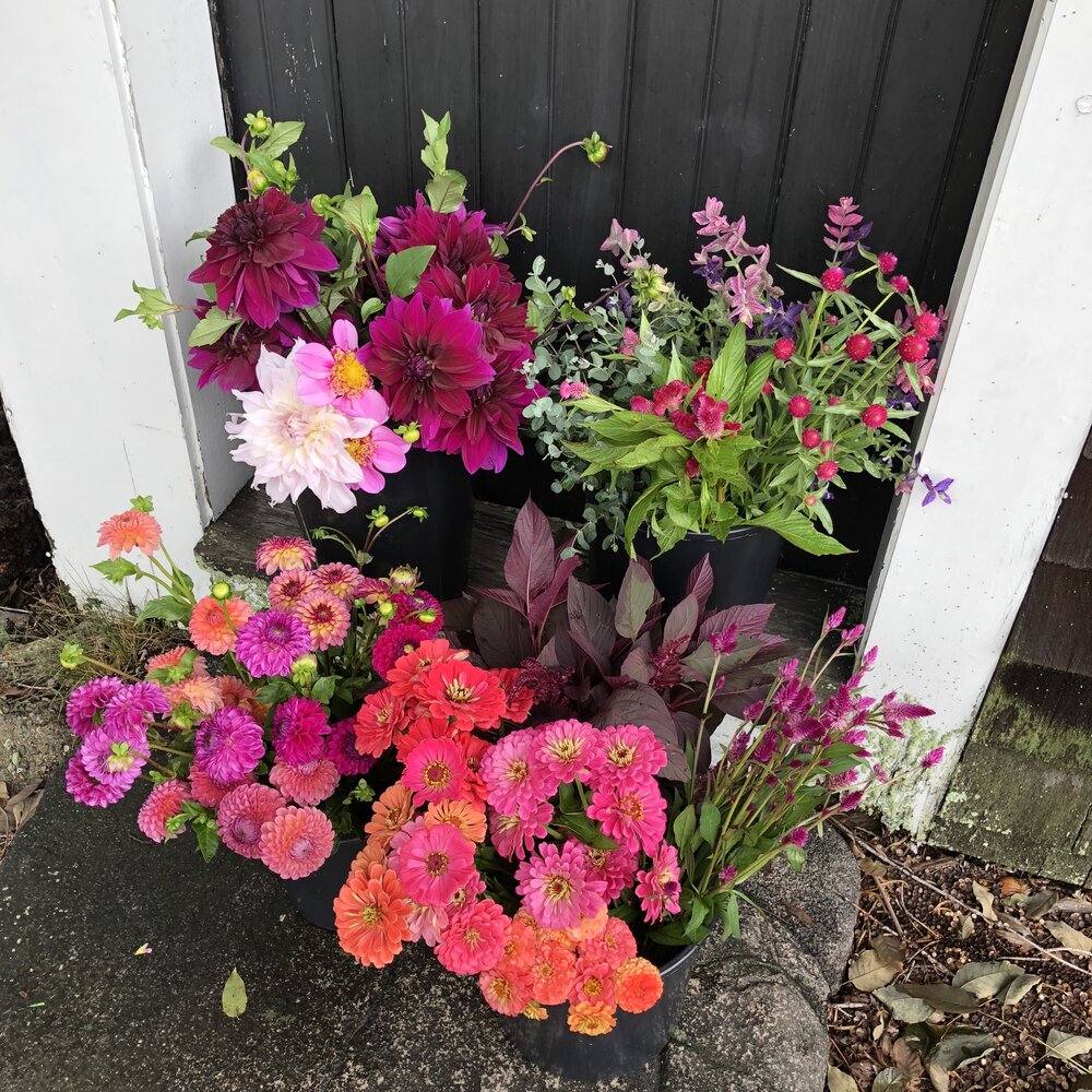 DIY Bucket Of Blooms