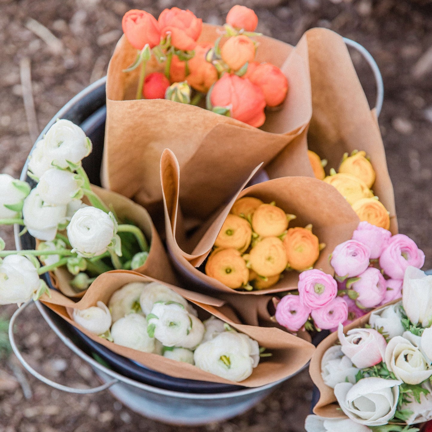 CSA Ranunculus + Peony Flower Share